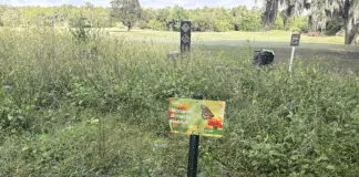oak trail butterfly habitat cover
