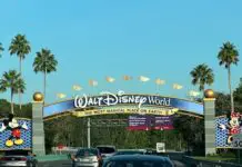 Planning your Next Disney World Vacation