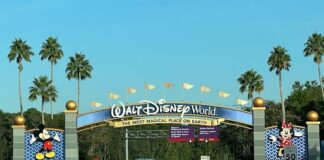 Planning your Next Disney World Vacation