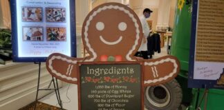 Gingerbread Displays