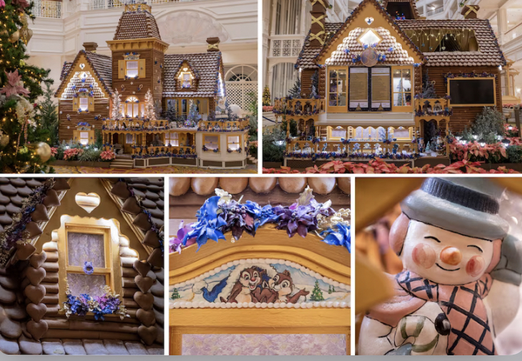 Gingerbread Displays