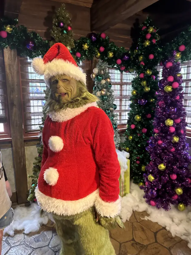 Our Detailed Review of This Year's Grinch Character Breakfast At