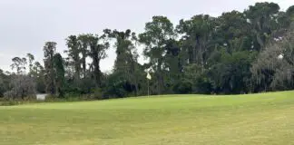magnolia golf course green