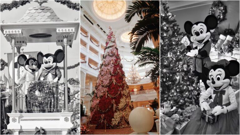 Rare Disney Holiday Images