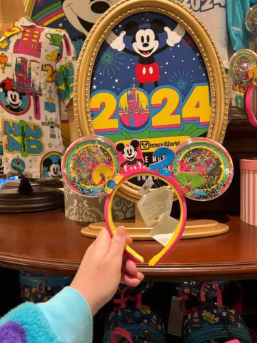 2024 Disney World Collection