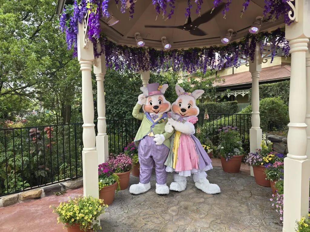 mr and mrs bunny magic kingdom 1 walt disney world