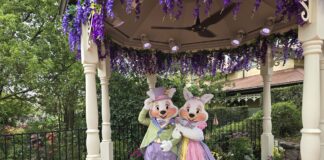 mr and mrs bunny magic kingdom 1