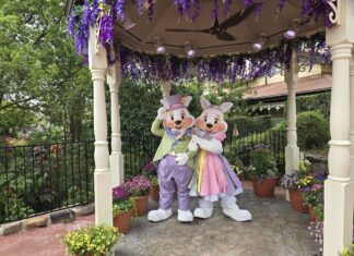 mr and mrs bunny magic kingdom 1