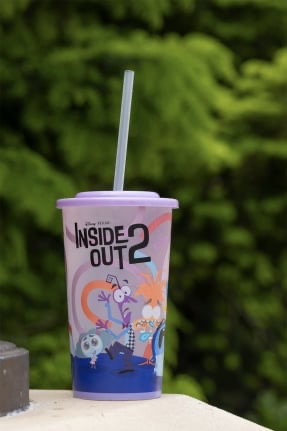 Inside Out 2 Experiences and Products