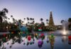 New Holiday Fun Coming to Disney’s Hollywood Studios and Disney’s Animal Kingdom 4