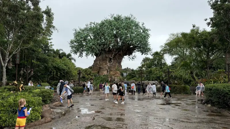 animal kingdom