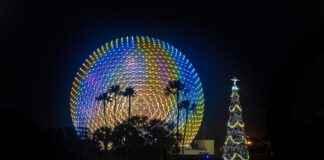 Walt DIsney World EPCOT Christmas