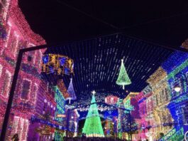 osbornelights13