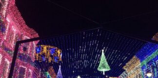 osbornelights13