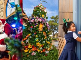 Holidays at Disney Springs