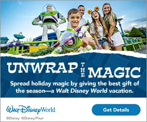 WDW FY25 Give the Gift Web Banner 300x250 300x250 5e77b89