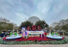 epcotfest8