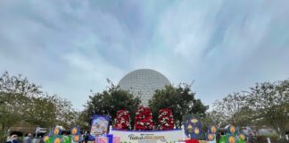 epcotfest8