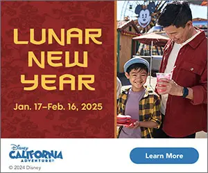 Lunar New year 2025