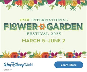 FY25 WDW Flower Garden DTIS Web Banners 4428424 300x250