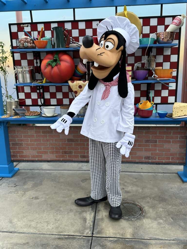 chef goofy