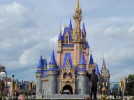 magic kingdom castle