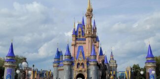 magic kingdom castle