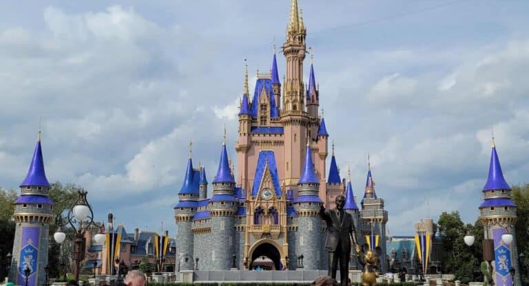 magic kingdom castle