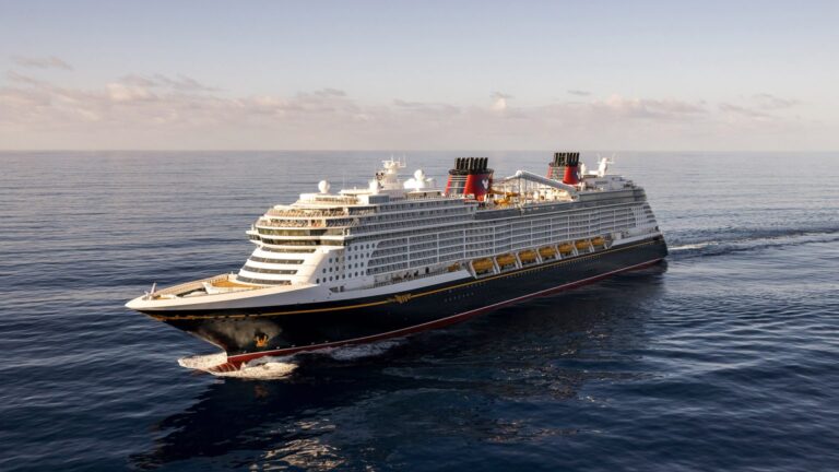Discover the Disney Treasure: 5 Breathtaking Highlights