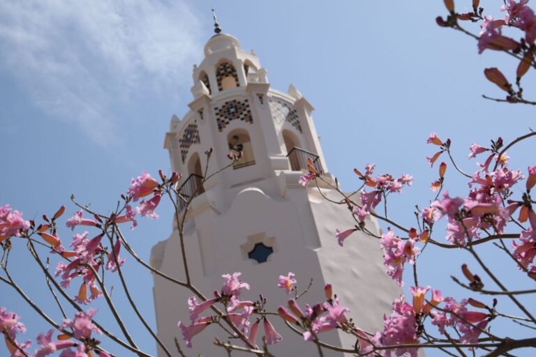 Our Favorite Places to Eat in Disney California Adventure 2025 Edition